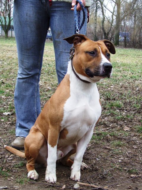 az jonc...aki mellesleg j tanul