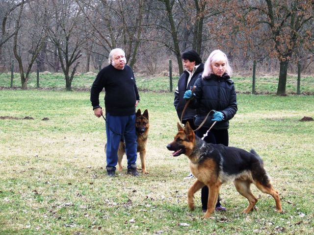 nj-sek munka eltt :)